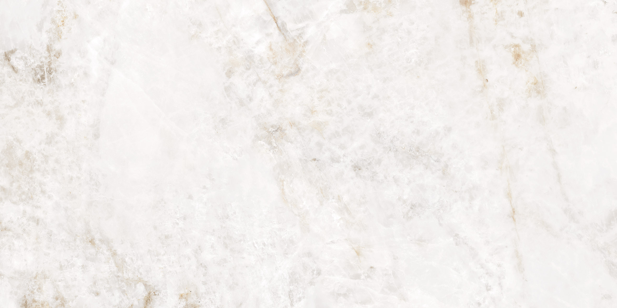 CHILE WHITE - Image 6